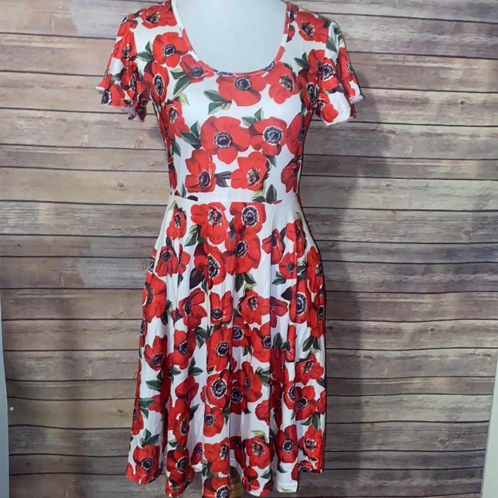 NWT ACEVOG Poppy Dress Size Small - Picture 2 of 10